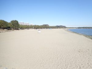海の公園　砂浜