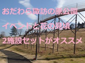 県立おだわら諏訪の原公園　イベントと花の見頃　2施設セットがオススメ