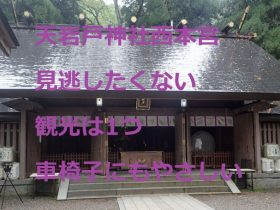 天岩戸神社西本宮：見逃したくない観光は1つ！車椅子にもやさしい神社だった