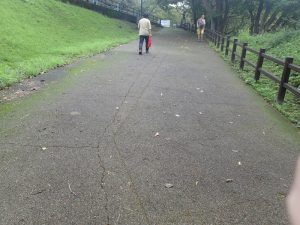熊本城：城彩苑からの裏道ルート