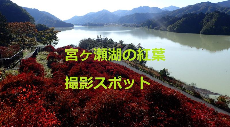宮ヶ瀬湖の紅葉！撮影スポット