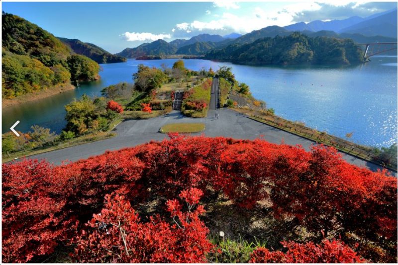宮ヶ瀬湖の紅葉プロが撮影したお勧めのスポットと気になった場所 神奈川県 おでかけ５５