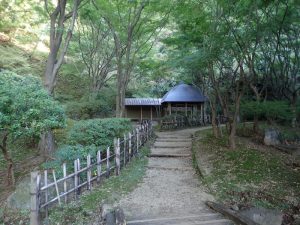 県立七沢森林公園：紅葉