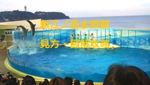 新江ノ島水族館・見方や図解攻略・タイムスケジュール攻略
